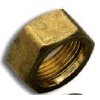 Solar nut